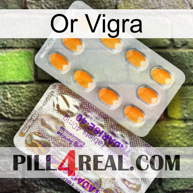 Gold Vigra new12